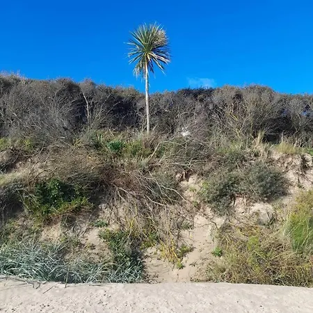 Luxury 300yr Old Irish Thatch Close To Sea بيت للعطل *