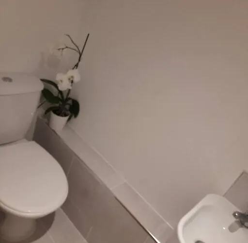 Luxury 300yr Old Irish Thatch Close To Sea