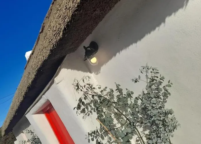 Luxury 300yr Old Irish Thatch Close To Sea Vakantiehuis