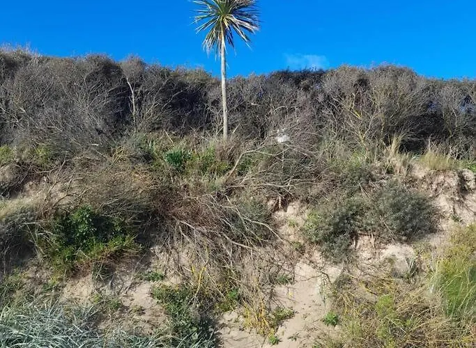 Luxury 300yr Old Irish Thatch Close To Sea Vakantiehuis *