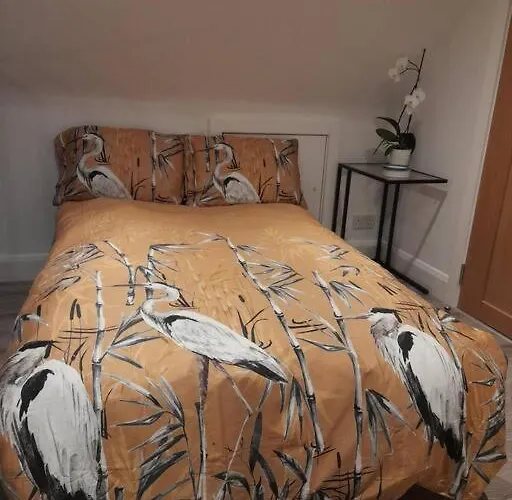 Luxury 300yr Old Irish Thatch Close To Sea Rush